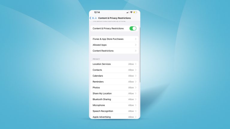 turn on content and privacy restrictions on safari