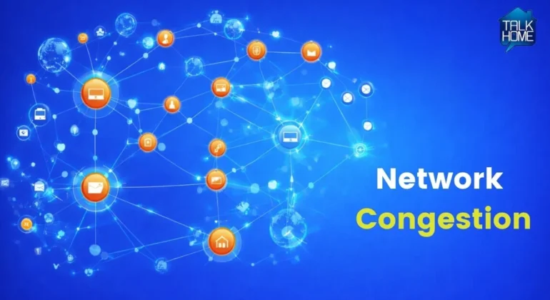 Network Congestion