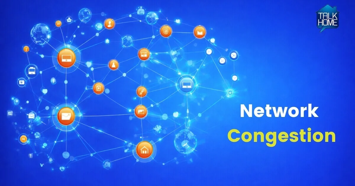Network Congestion