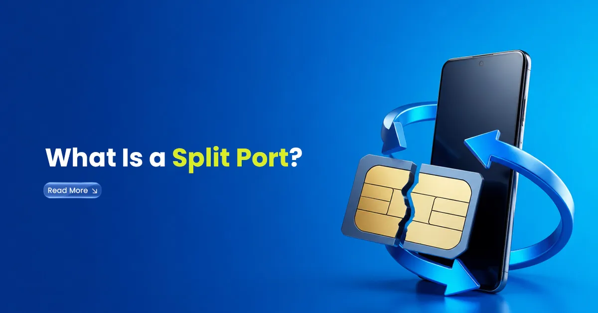 What Is a Split Port