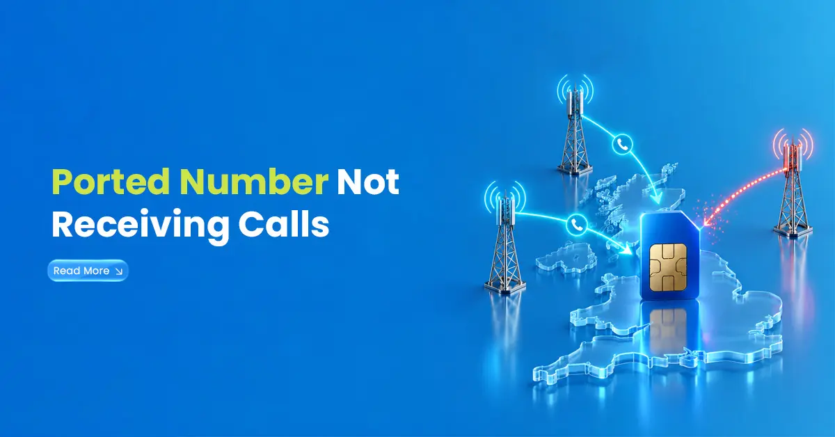 ported number not receiving calls